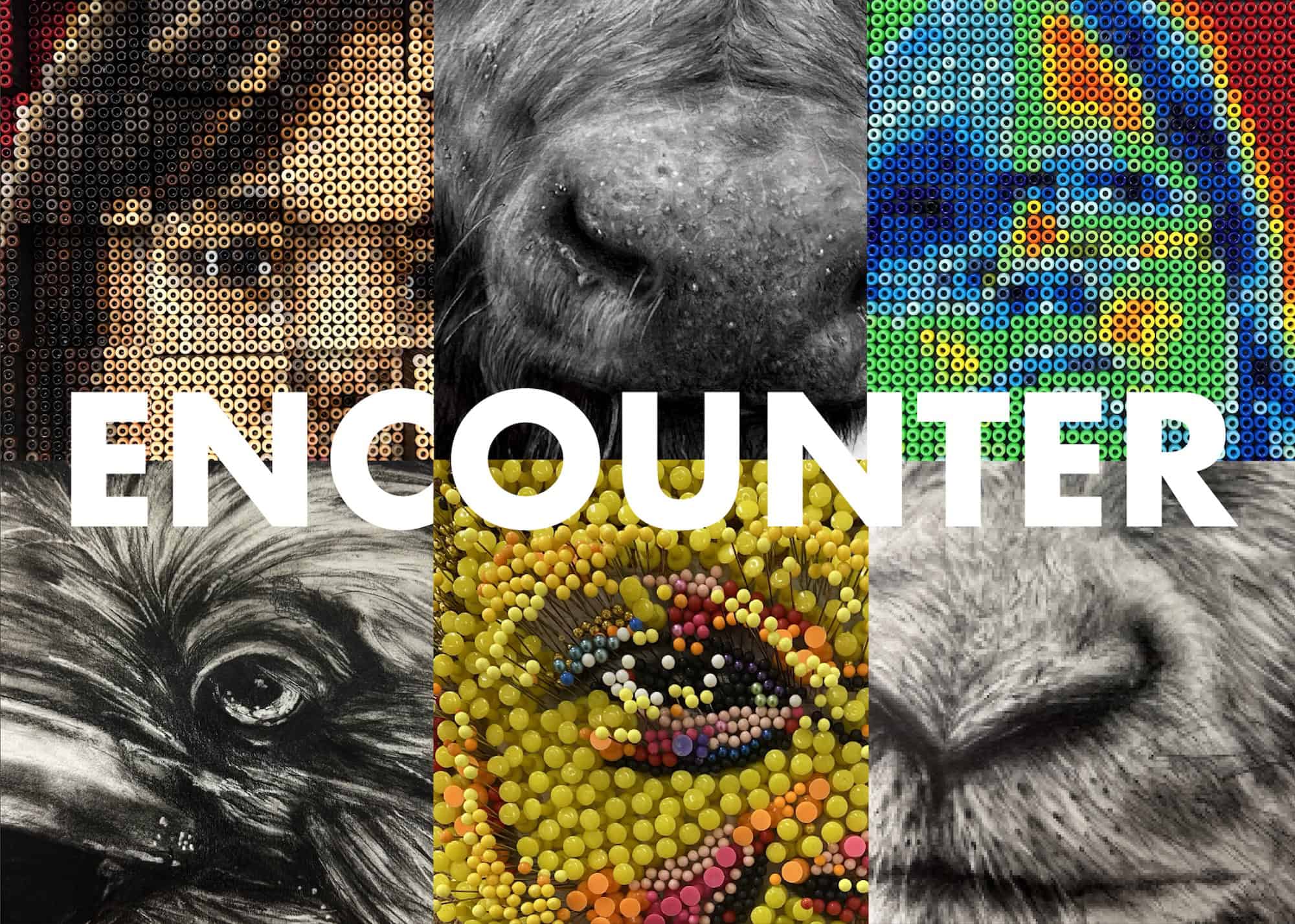 A collage of animals and people made from seeds that is part of the Encounter exhibit at Schnormeier Gallery.